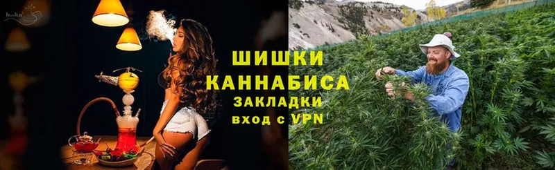 Бошки марихуана THC 21%  Балахна 